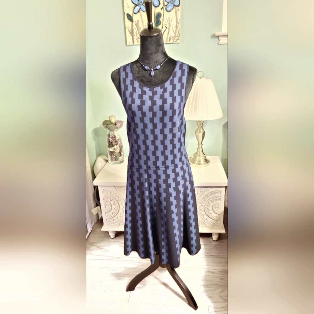 Black & Blue Sleeveless A-Line Dress